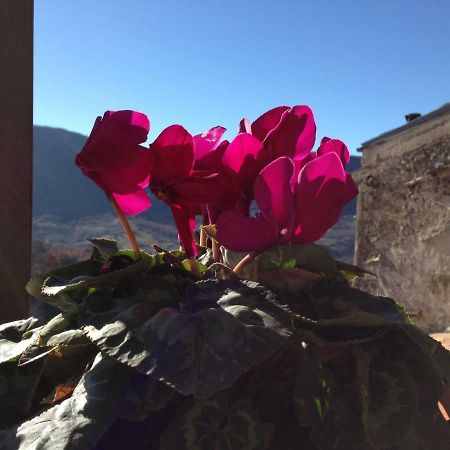 Appartamento Il Borgo 30 Scapoli Esterno foto